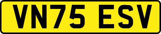 VN75ESV