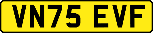 VN75EVF