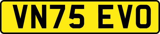 VN75EVO