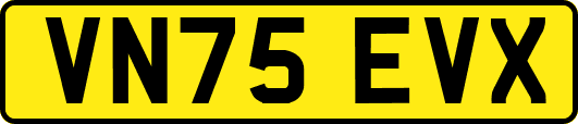 VN75EVX