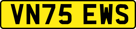 VN75EWS