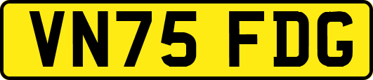 VN75FDG