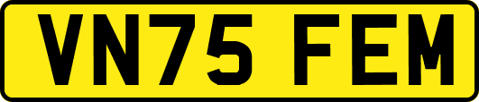 VN75FEM