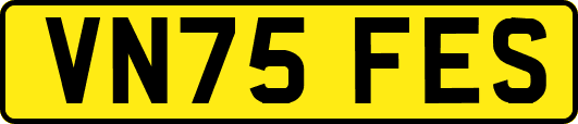 VN75FES