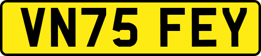 VN75FEY