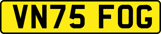 VN75FOG