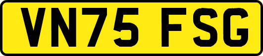 VN75FSG