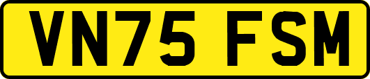 VN75FSM