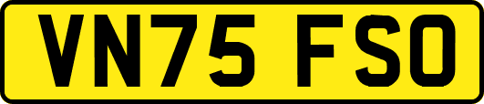 VN75FSO