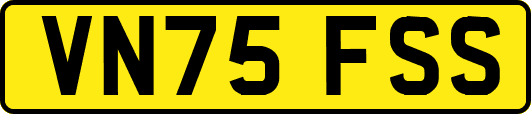 VN75FSS