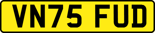 VN75FUD