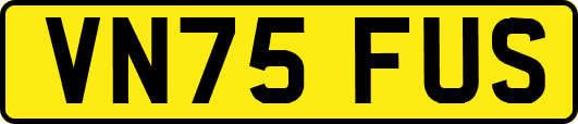 VN75FUS