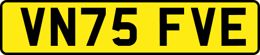VN75FVE