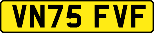 VN75FVF