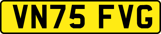 VN75FVG