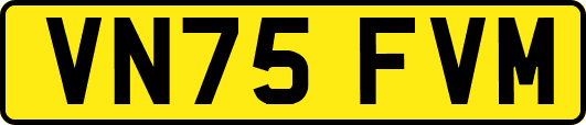 VN75FVM