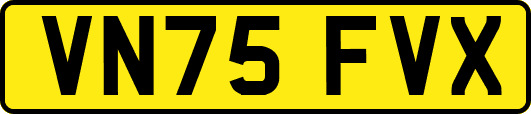 VN75FVX