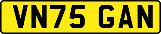 VN75GAN