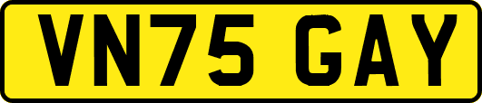 VN75GAY