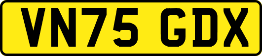 VN75GDX