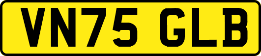 VN75GLB