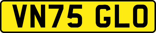 VN75GLO