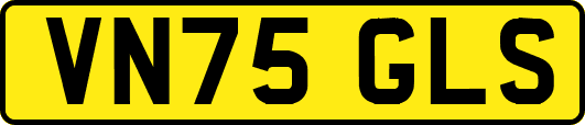 VN75GLS