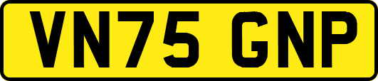 VN75GNP