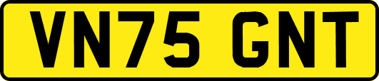 VN75GNT