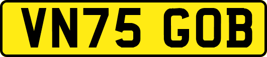 VN75GOB