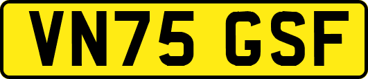 VN75GSF