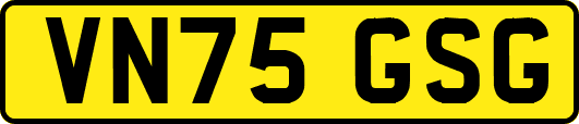 VN75GSG