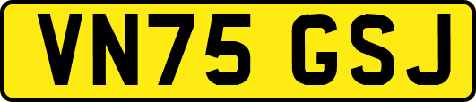 VN75GSJ