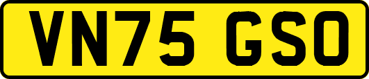 VN75GSO