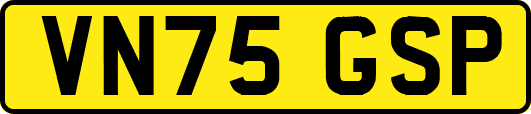 VN75GSP