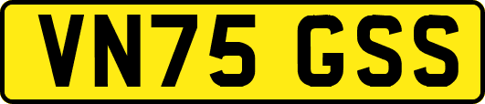 VN75GSS