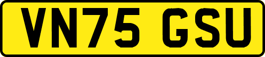 VN75GSU