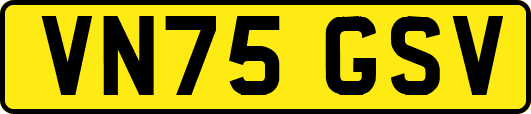 VN75GSV