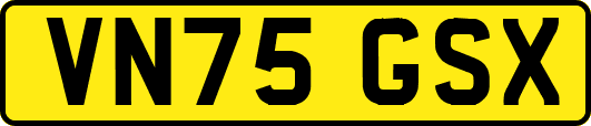 VN75GSX