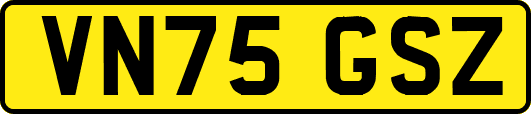 VN75GSZ