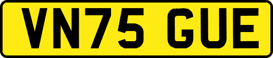 VN75GUE