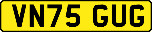 VN75GUG