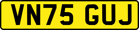 VN75GUJ