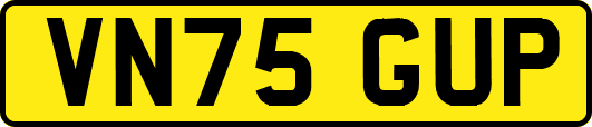 VN75GUP