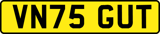 VN75GUT