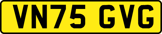 VN75GVG
