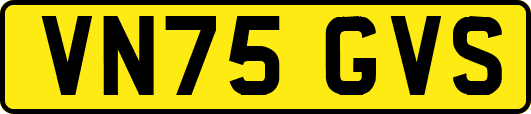 VN75GVS