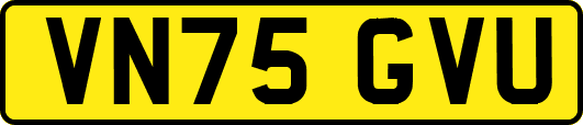 VN75GVU