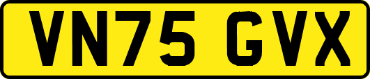 VN75GVX