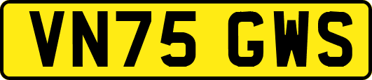 VN75GWS